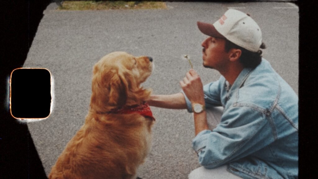 film vintage